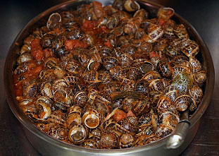 cargols
